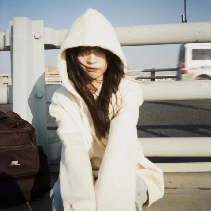 吾以凡躯镇山河