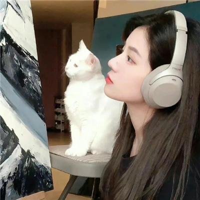 蝙蝠别墅