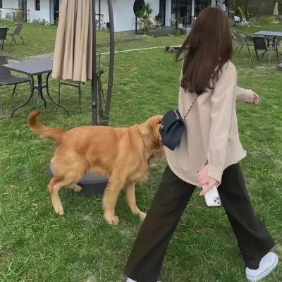 勇闯无人之境第二季